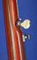 Rickenbacker 6000/5 Bantar, Fireglo: Neck - Rear