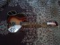 Rickenbacker 620/6 , Fireglo: Full Instrument - Front