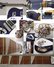 Rickenbacker 620/6 , Midnightblue: Neck - Front