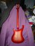 Rickenbacker 4003/4 , Fireglo: Full Instrument - Rear