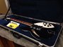 Rickenbacker 370/6 , Jetglo: Close up - Free2