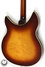 Nov 1980 Rickenbacker 360/6 WB, Autumnglo: Body - Rear