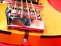 Rickenbacker 4001/4 BT, Mapleglo: Free image