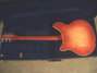 Rickenbacker 360/6 , Fireglo: Full Instrument - Rear