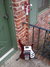 Rickenbacker 4001/4 Deluxe, Burgundy: Body - Front