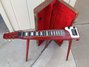 Rickenbacker 100/6 Electro, Burgundy: Full Instrument - Front