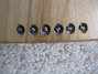 Rickenbacker 100/6 LapSteel, Blonde: Close up - Free2