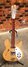 Rickenbacker 330/12 , Mapleglo: Full Instrument - Front