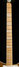 Rickenbacker 4003/4 , Walnut: Neck - Front