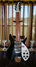 Rickenbacker 325/6 C64, Jetglo: Full Instrument - Front
