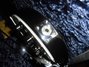 Rickenbacker 325/6 V63, Jetglo: Close up - Free
