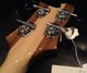 Rickenbacker 4003/4 , Walnut: Headstock - Rear