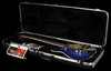 Rickenbacker 660/6 , Blueburst: Free image