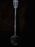 Rickenbacker A25/6 Refin, Black: Full Instrument - Rear