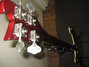 Rickenbacker 4001/4 FL, Burgundy: Headstock - Rear