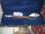 Rickenbacker 320/6 , Azureglo: Free image