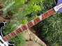 Rickenbacker 4003/4 , Midnightblue: Neck - Front