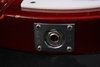 Rickenbacker 330/6 , Fireglo: Close up - Free