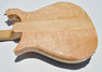 Rickenbacker 660/12 , Mapleglo: Body - Rear