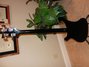 Rickenbacker 4003/4 , Jetglo: Full Instrument - Rear
