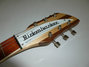 Rickenbacker 381/6 V69, Mapleglo: Headstock