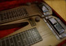 Rickenbacker SD/12 Doubleneck, Copper: Body - Front