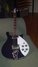 Rickenbacker 620/6 , Midnightblue: Free image