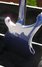 Rickenbacker 4003/4 , Midnightblue: Full Instrument - Rear