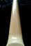Rickenbacker 4001/4 BT, White: Neck - Rear