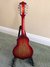 Rickenbacker 5002/8 V58, Fireglo: Full Instrument - Rear