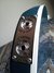 Rickenbacker 360/12 VP, Turquoise: Close up - Free