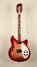 Rickenbacker 360/12 CW, Fireglo: Full Instrument - Front