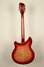 Rickenbacker 360/12 CW, Fireglo: Full Instrument - Rear