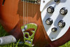 Rickenbacker 330/12 , Fireglo: Close up - Free2
