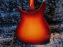 Aug 2008 Rickenbacker 1996/6 f hole, Amber Fireglo: Body - Rear
