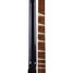 Rickenbacker 620/6 , Midnightblue: Neck - Rear
