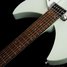 Rickenbacker 330/6 , Blue Boy: Neck - Front