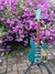 Rickenbacker 320/6 Mod, Turquoise: Full Instrument - Front