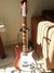 Rickenbacker 460/6 , Fireglo: Full Instrument - Front