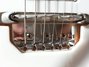 Rickenbacker 460/6 , Fireglo: Close up - Free