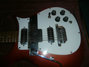 Rickenbacker 456/12 , Fireglo: Close up - Free