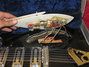 Rickenbacker 370/12 Byrd, Black: Free image