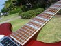 Rickenbacker 360/6 , Ruby: Neck - Front