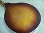 Dec 1935 Rickenbacker Mandolin (hollow body)/8 Electro, Two tone brown: Body - Rear