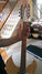 Rickenbacker 330/12 , Mapleglo: Close up - Free2