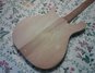 Dec 1959 Rickenbacker 450/6 Combo, Natural: Body - Rear