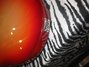 Rickenbacker 330/6 , Fireglo: Close up - Free
