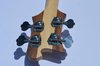 Rickenbacker 4003/4 , Natural Walnut: Headstock - Rear