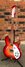 Rickenbacker 330/6 , Fireglo: Full Instrument - Front