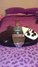 Rickenbacker 325/6 V63, Jetglo: Close up - Free2